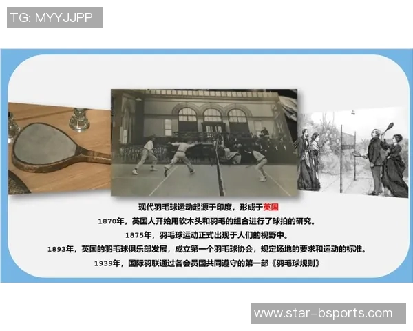 运动数据南京羽毛球队的灵活性揭秘与训练背后的故事探讨